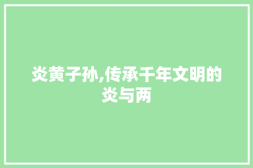 炎黄子孙,传承千年文明的炎与两