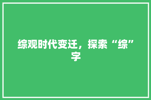 综观时代变迁，探索“综”字