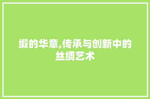 缎的华章,传承与创新中的丝绸艺术