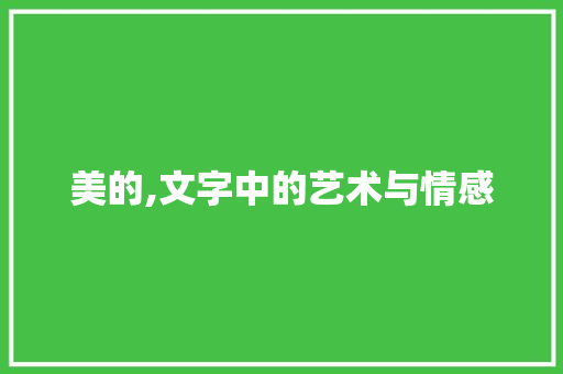 美的,文字中的艺术与情感