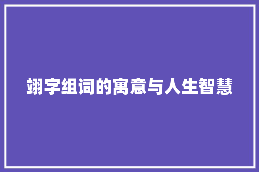 翊字组词的寓意与人生智慧