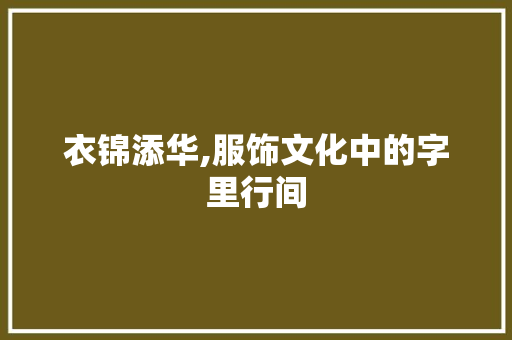 衣锦添华,服饰文化中的字里行间