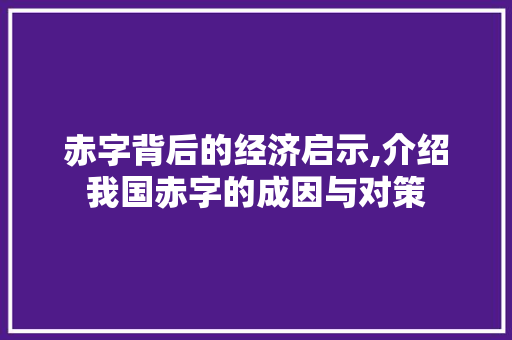 赤字背后的经济启示,介绍我国赤字的成因与对策