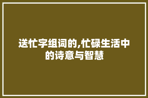 送忙字组词的,忙碌生活中的诗意与智慧 生活随笔