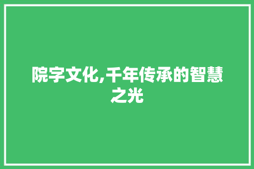 院字文化,千年传承的智慧之光