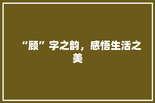 “顾”字之韵，感悟生活之美