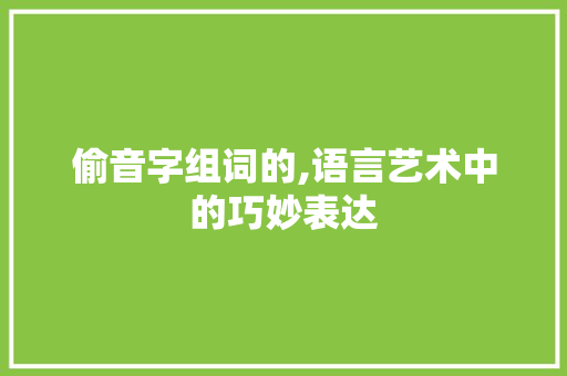 偷音字组词的,语言艺术中的巧妙表达