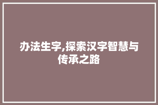办法生字,探索汉字智慧与传承之路 商业文稿