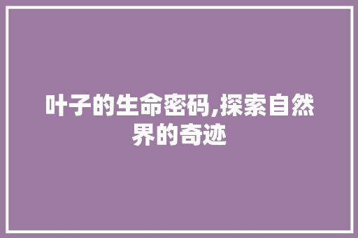 叶子的生命密码,探索自然界的奇迹