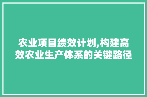 农业项目绩效计划,构建高效农业生产体系的关键路径