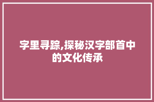 字里寻踪,探秘汉字部首中的文化传承