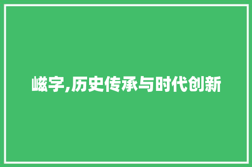 嵫字,历史传承与时代创新