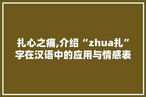 扎心之痛,介绍“zhua扎”字在汉语中的应用与情感表达