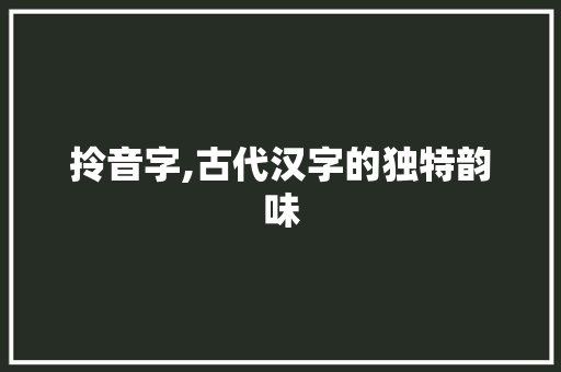拎音字,古代汉字的独特韵味