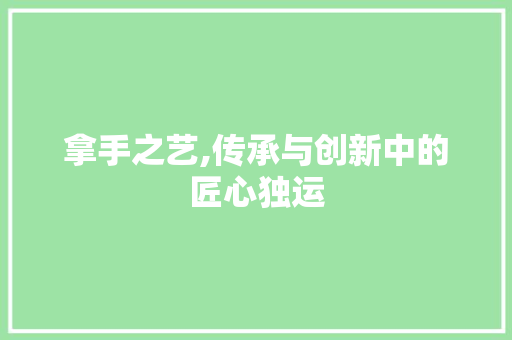 拿手之艺,传承与创新中的匠心独运
