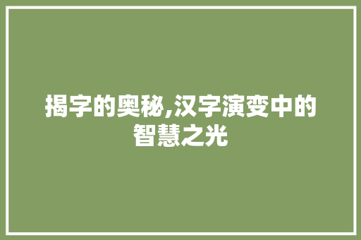揭字的奥秘,汉字演变中的智慧之光