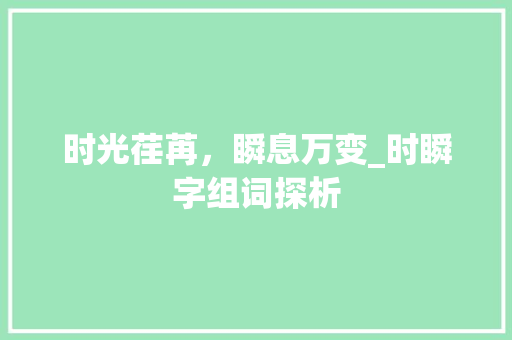 时光荏苒，瞬息万变_时瞬字组词探析