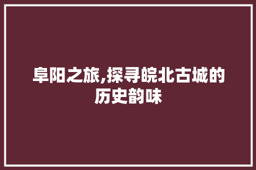 阜阳之旅,探寻皖北古城的历史韵味