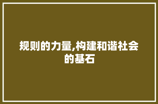 规则的力量,构建和谐社会的基石