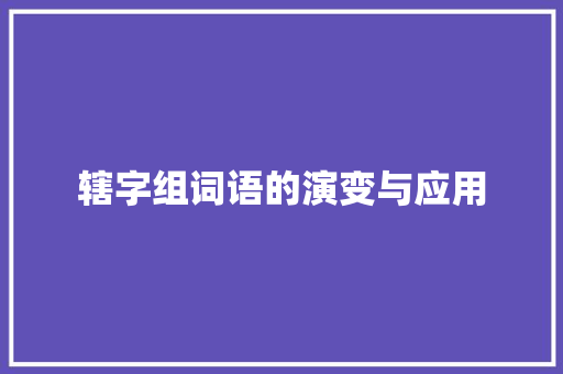 辖字组词语的演变与应用