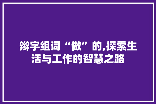 辫字组词“做”的,探索生活与工作的智慧之路