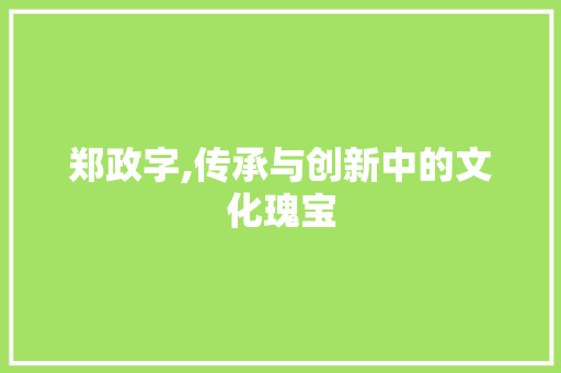 郑政字,传承与创新中的文化瑰宝