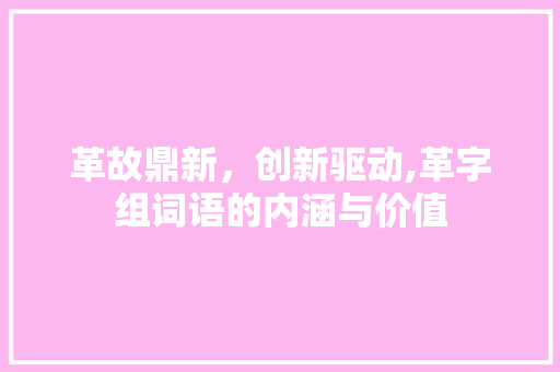 革故鼎新，创新驱动,革字组词语的内涵与价值