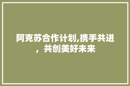 阿克苏合作计划,携手共进，共创美好未来