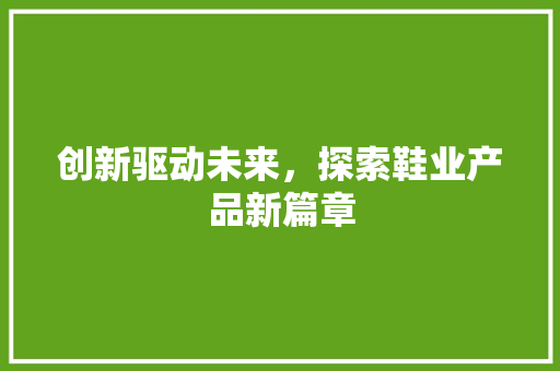创新驱动未来，探索鞋业产品新篇章