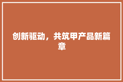 创新驱动，共筑甲产品新篇章