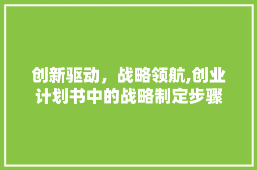 创新驱动，战略领航,创业计划书中的战略制定步骤