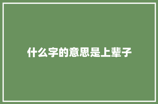 什么字的意思是上辈子