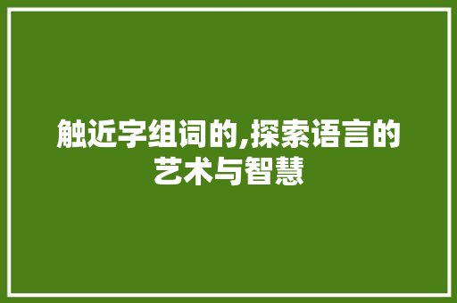 触近字组词的,探索语言的艺术与智慧