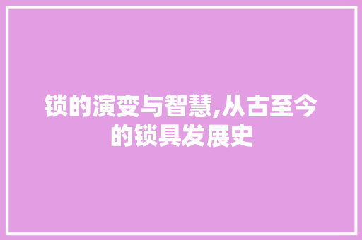 锁的演变与智慧,从古至今的锁具发展史
