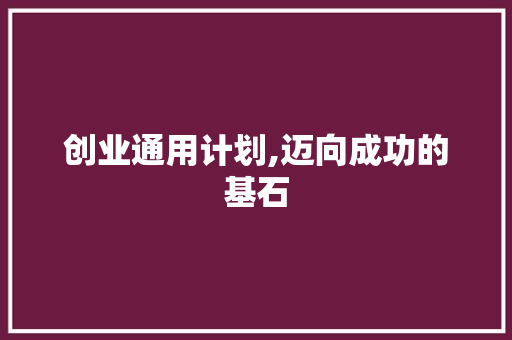 创业通用计划,迈向成功的基石