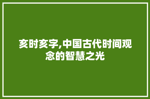 亥时亥字,中国古代时间观念的智慧之光