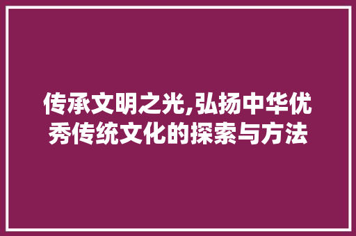 传承文明之光,弘扬中华优秀传统文化的探索与方法