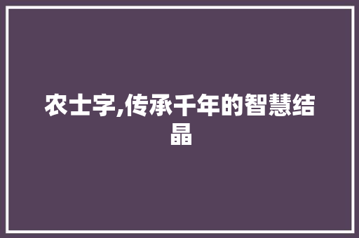 农士字,传承千年的智慧结晶