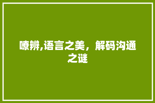 嘹辨,语言之美，解码沟通之谜