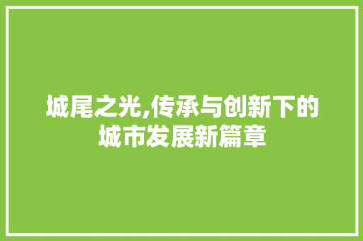 城尾之光,传承与创新下的城市发展新篇章