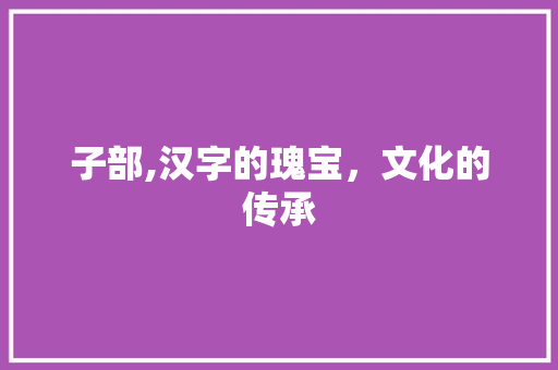 子部,汉字的瑰宝，文化的传承