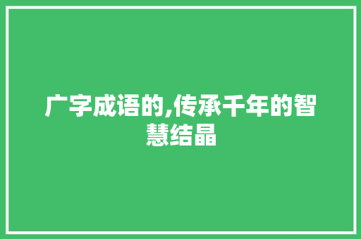 广字成语的,传承千年的智慧结晶