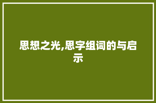 思想之光,思字组词的与启示
