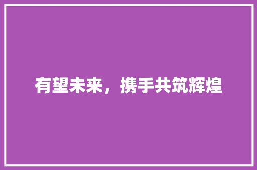 有望未来，携手共筑辉煌