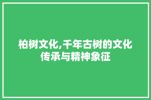 柏树文化,千年古树的文化传承与精神象征