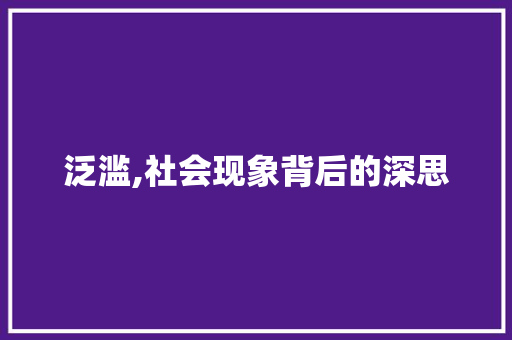泛滥,社会现象背后的深思