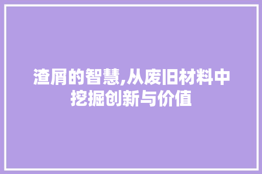 渣屑的智慧,从废旧材料中挖掘创新与价值