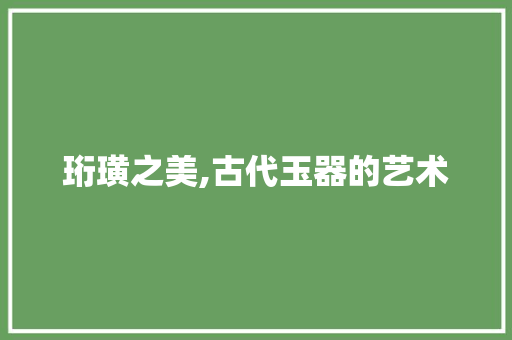 珩璜之美,古代玉器的艺术