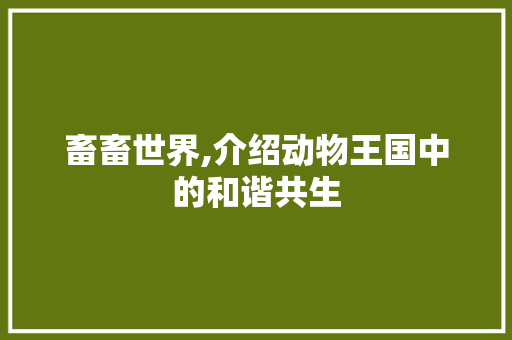 畜畜世界,介绍动物王国中的和谐共生