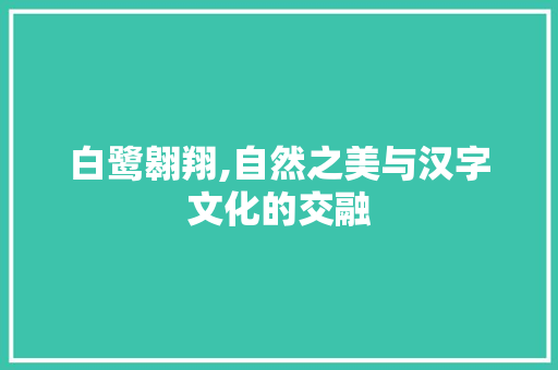 白鹭翱翔,自然之美与汉字文化的交融